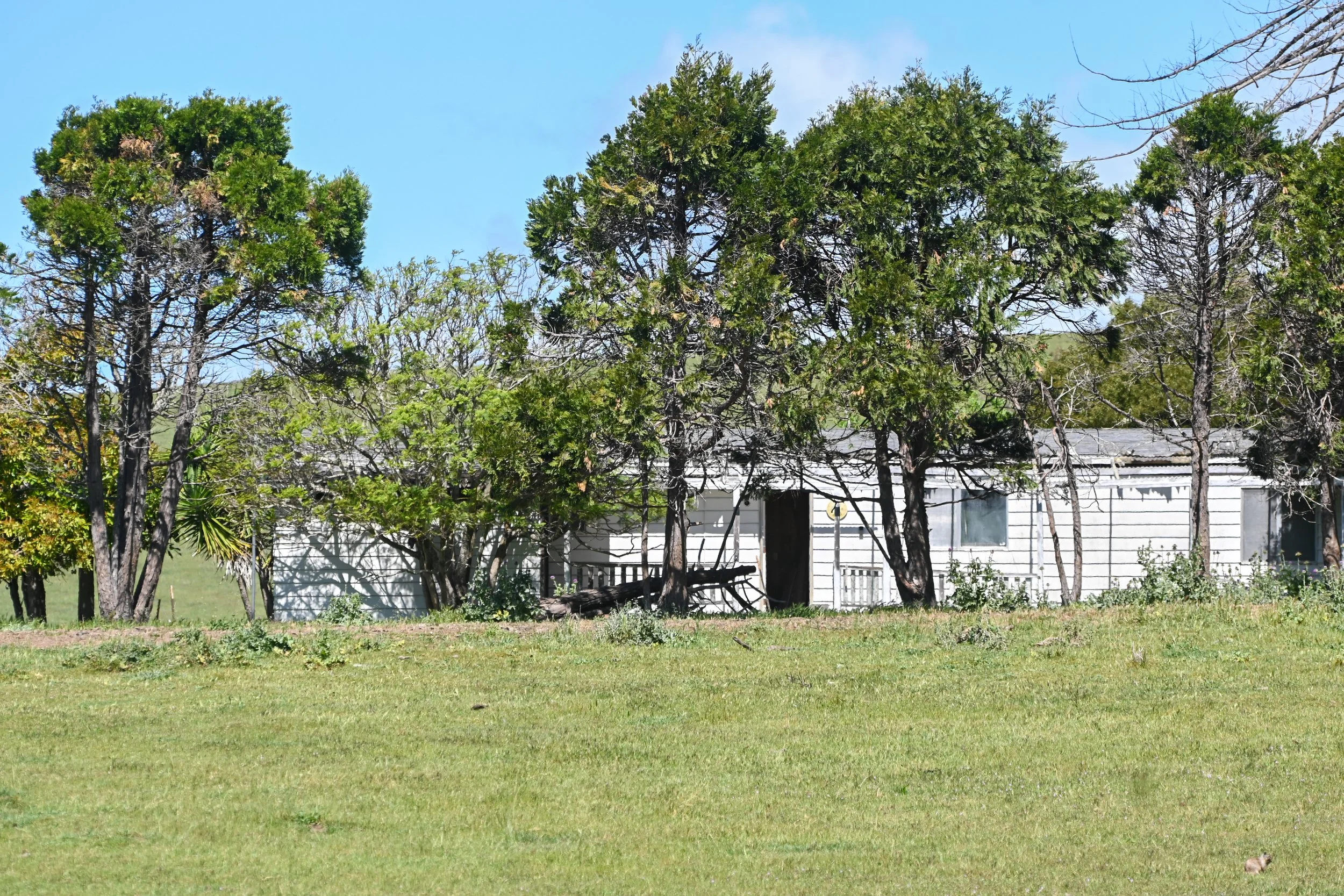 4144 Harmony Valley-18.jpg