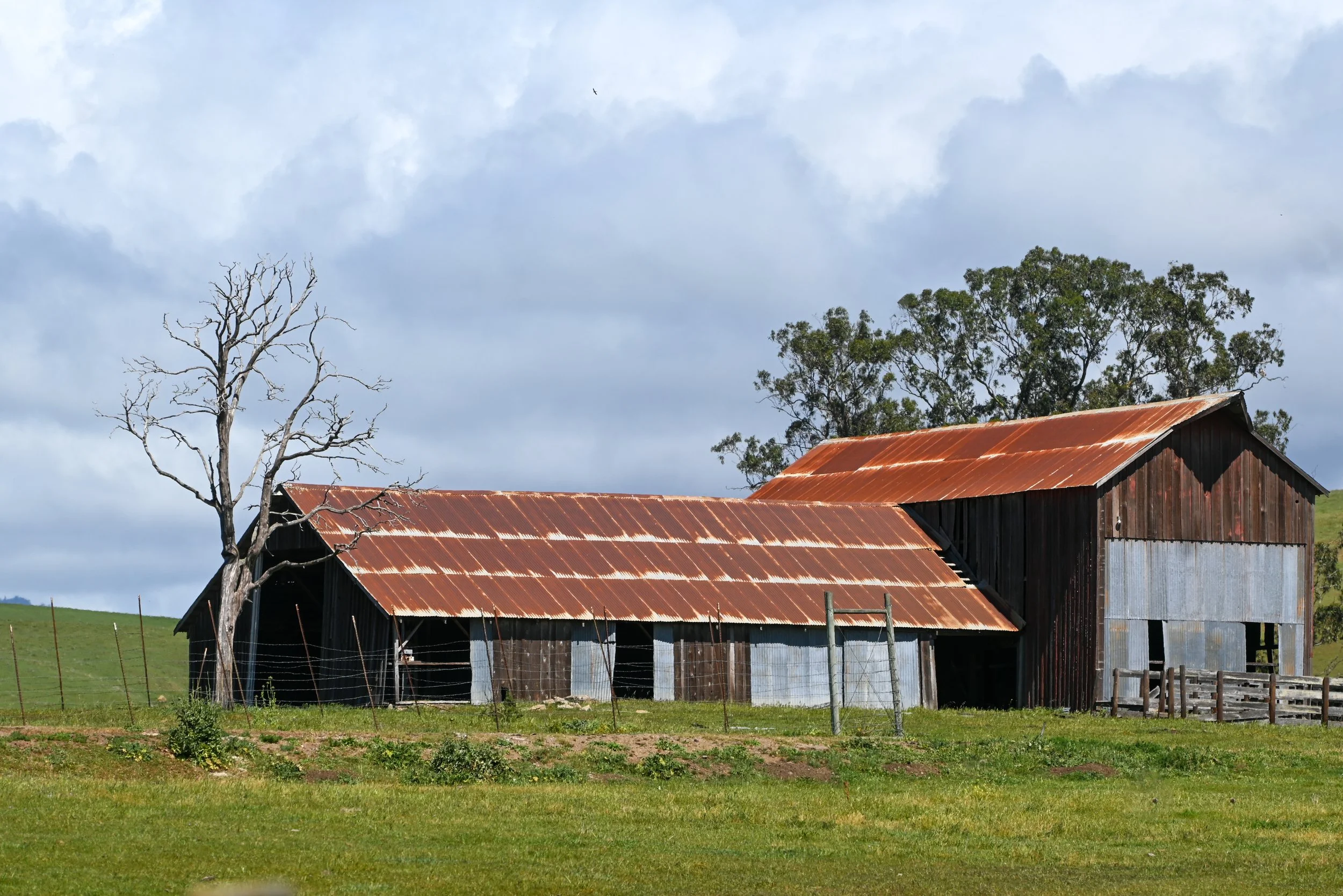 4144 Harmony Valley-19.jpg