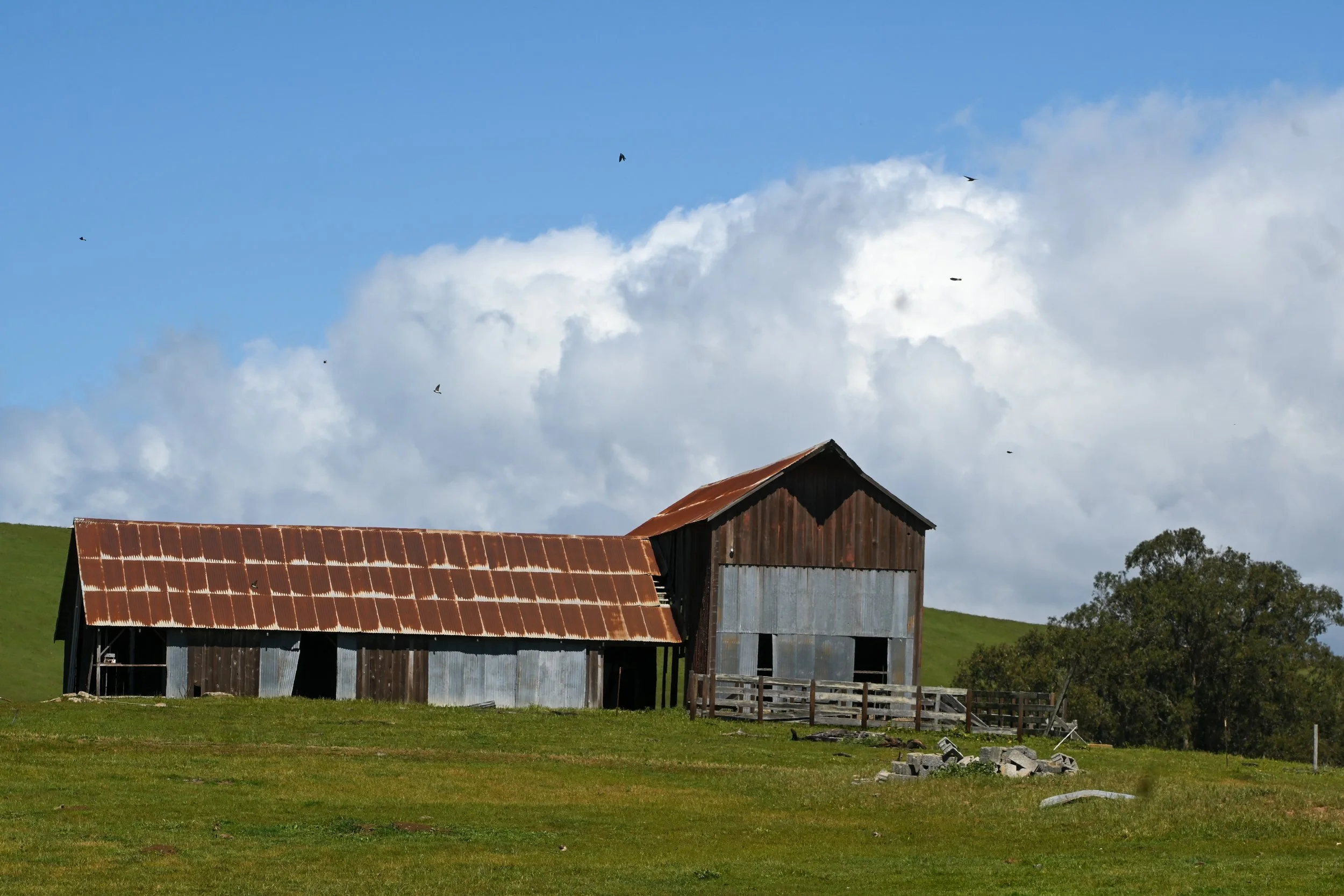 4144 Harmony Valley-21.jpg