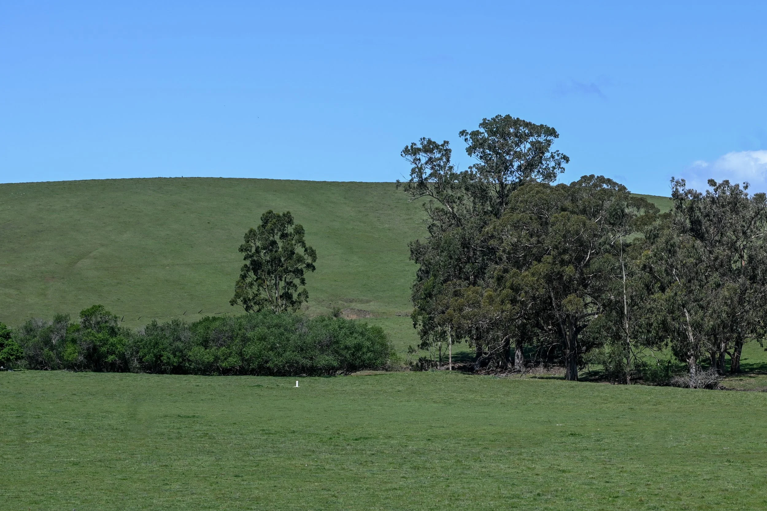 4144 Harmony Valley-23.jpg