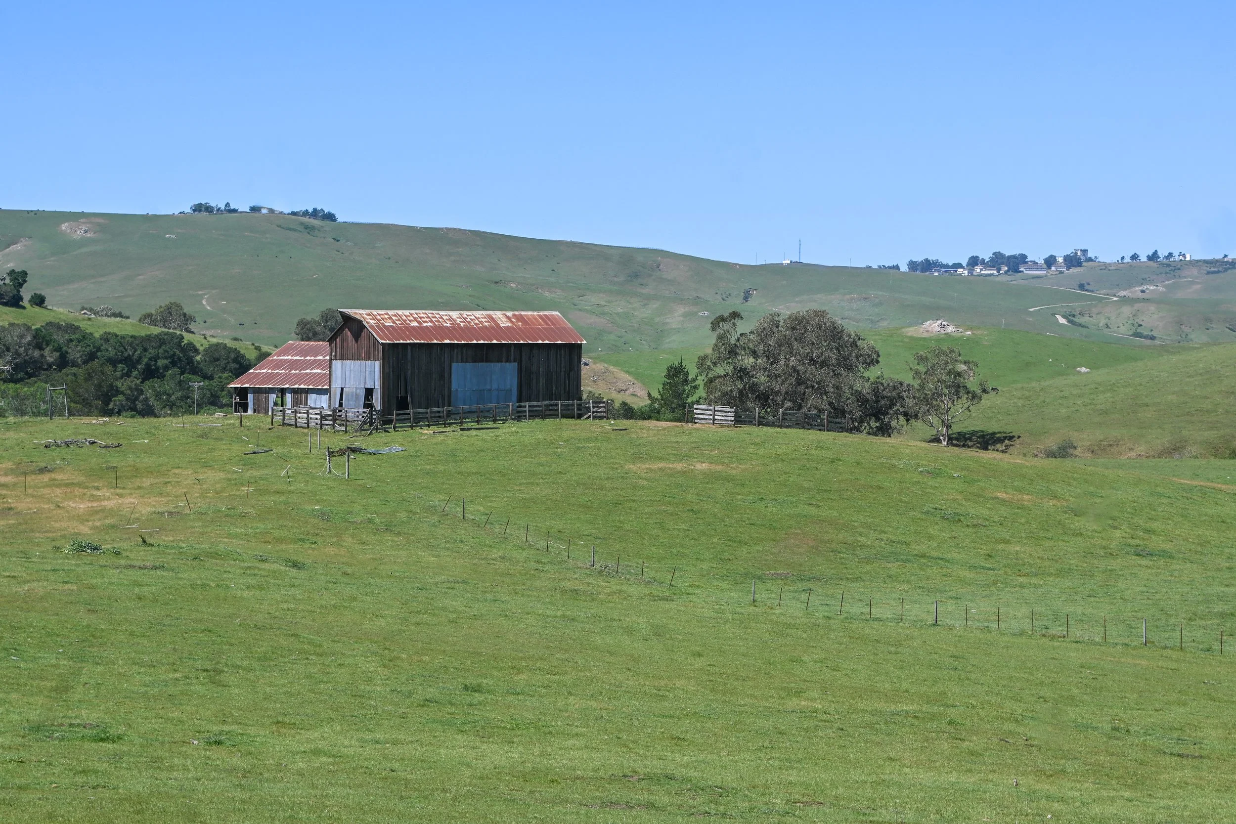 4144 Harmony Valley-25.jpg