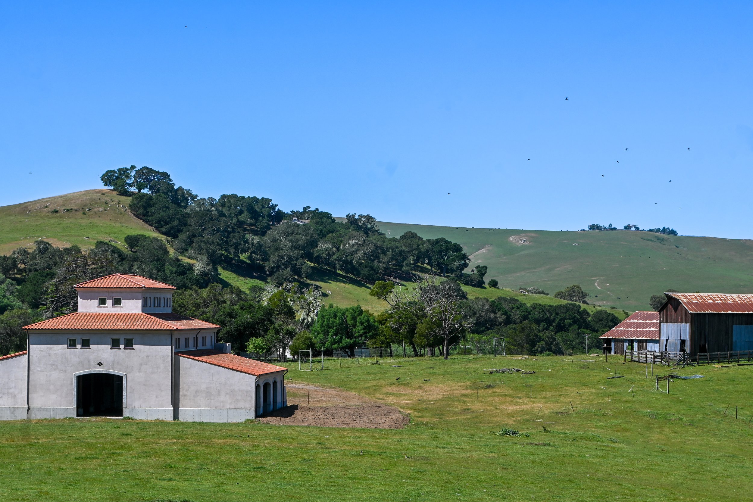 4144 Harmony Valley-26.jpg