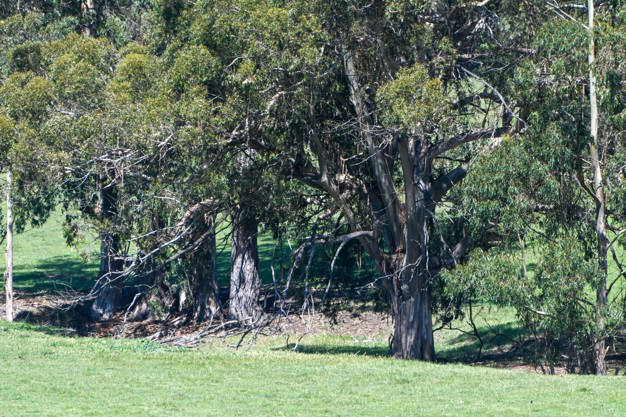 4144 Harmony Valley-27.jpg