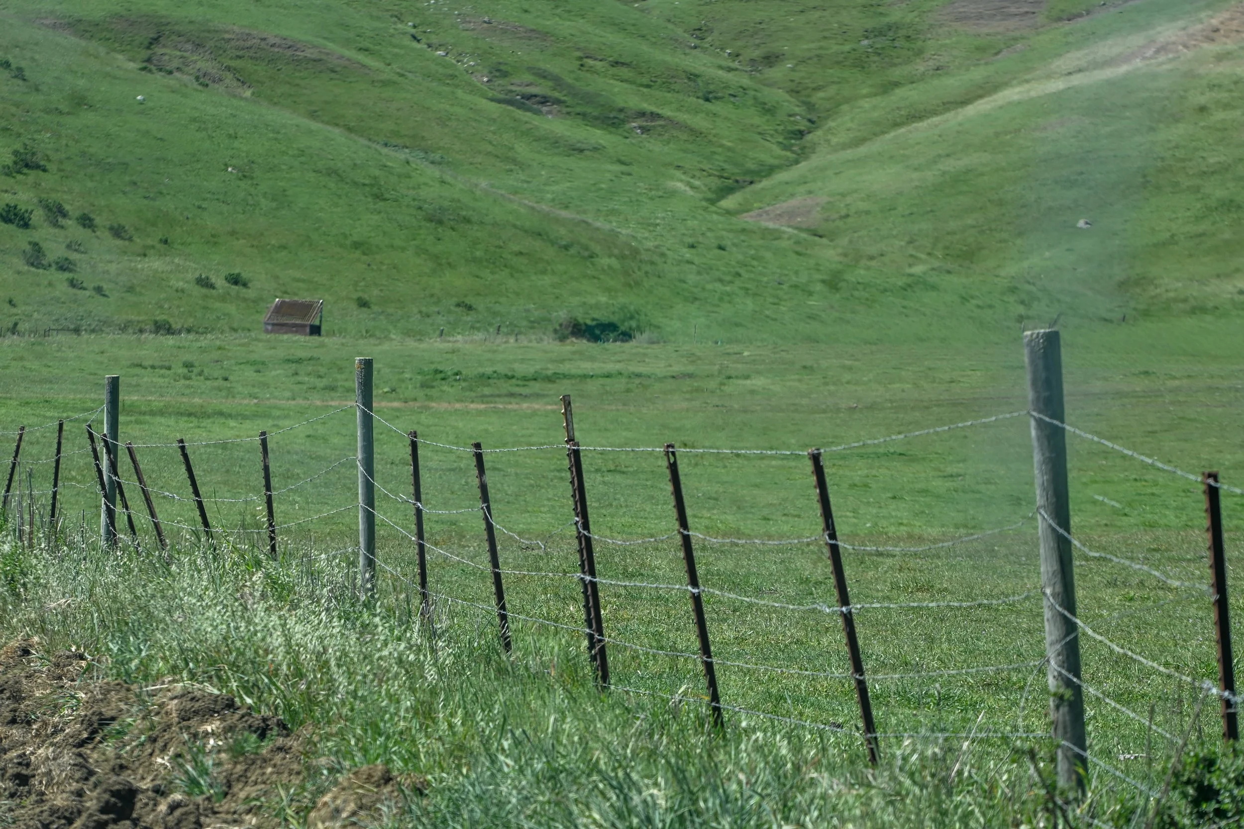 4144 Harmony Valley-30.jpg