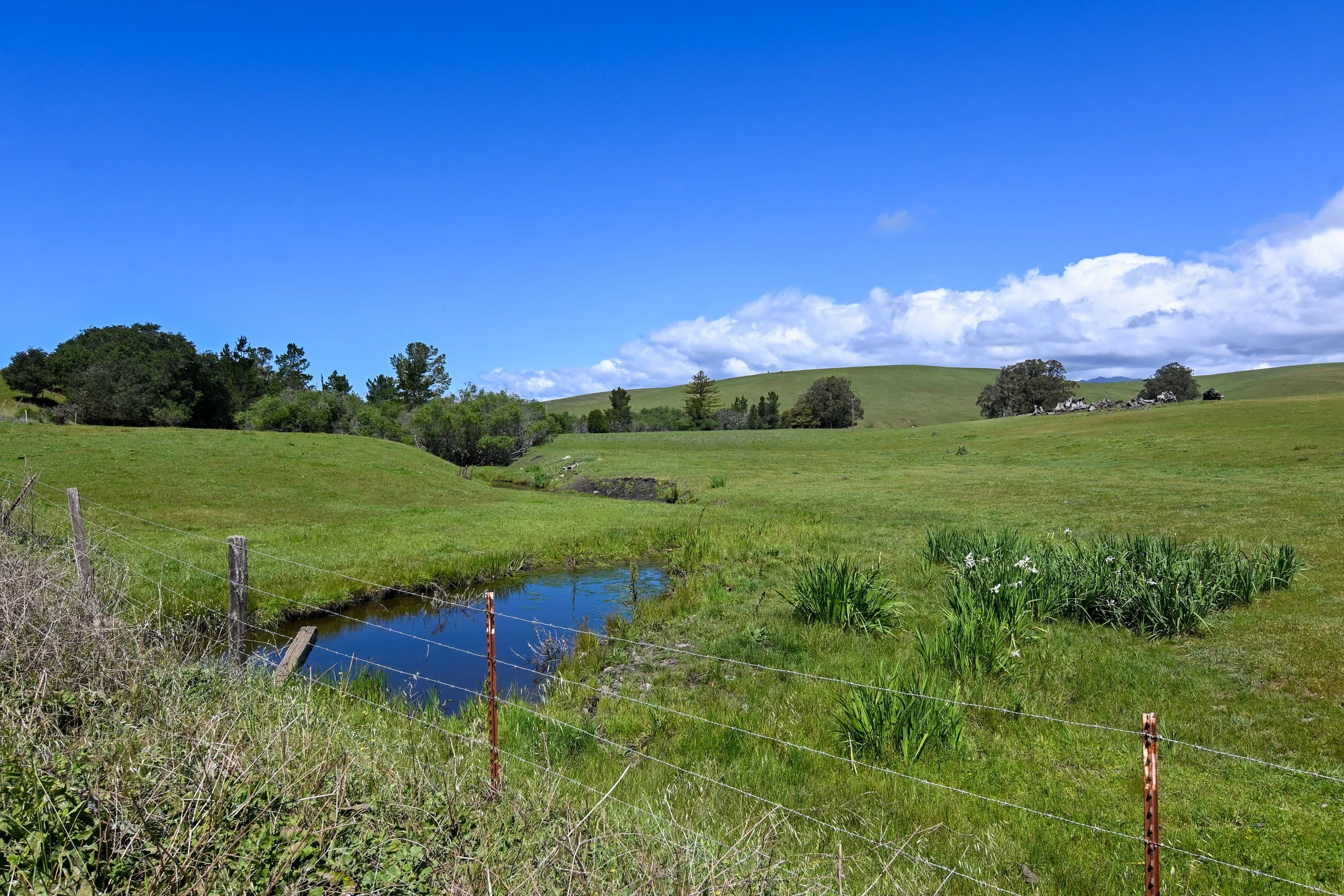 4144 Harmony Valley-32.jpg