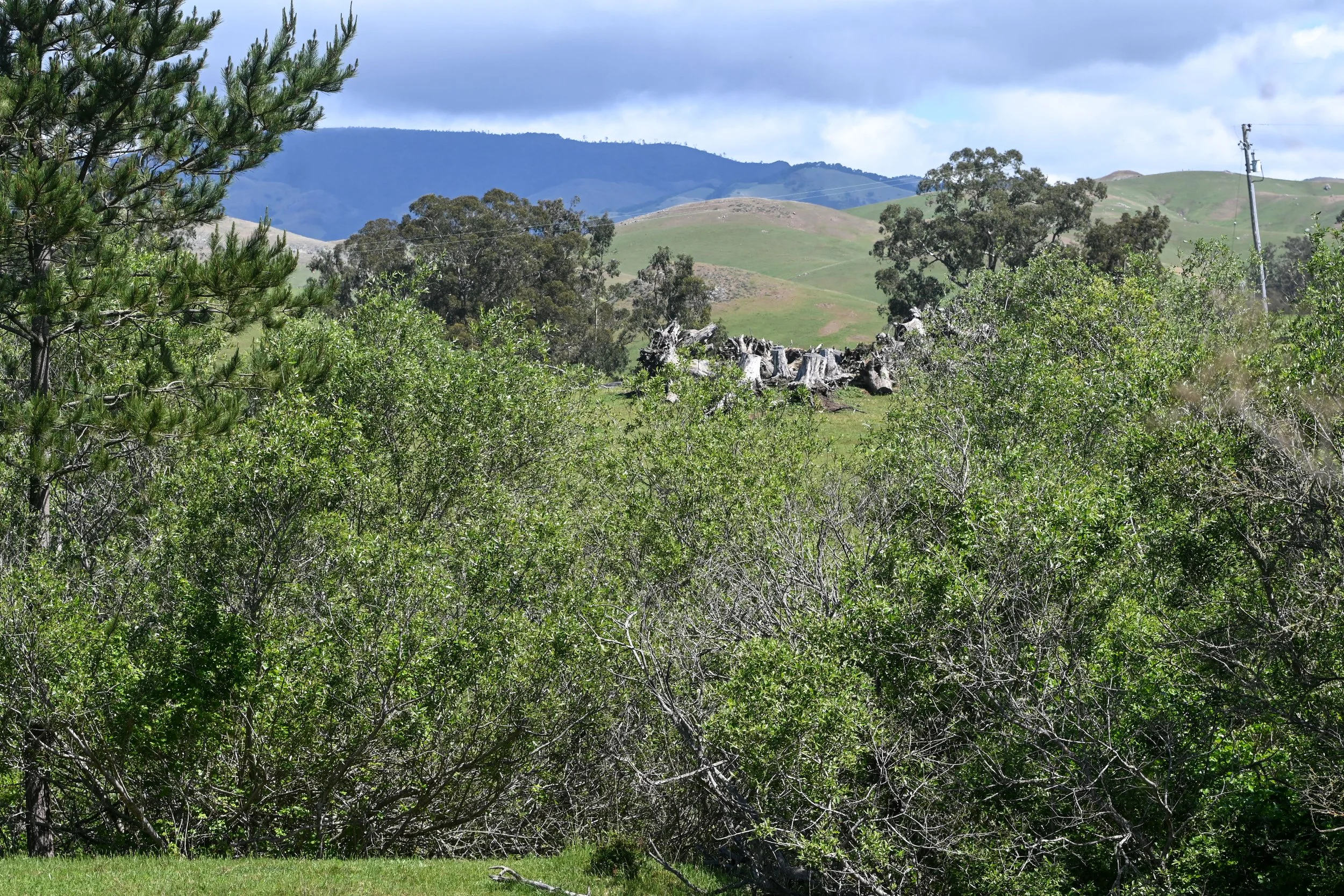 4144 Harmony Valley-35.jpg