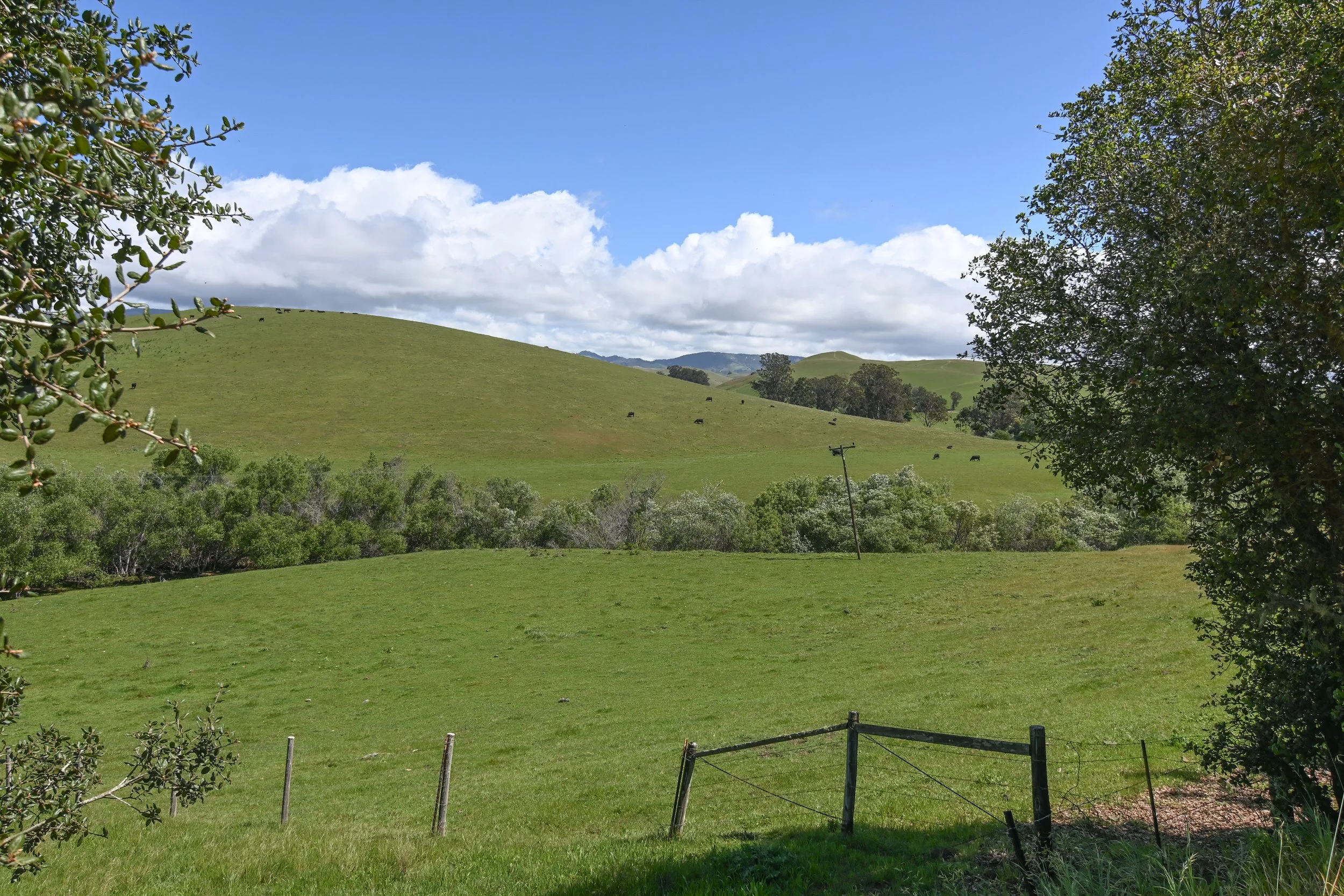 4144 Harmony Valley-37.jpg