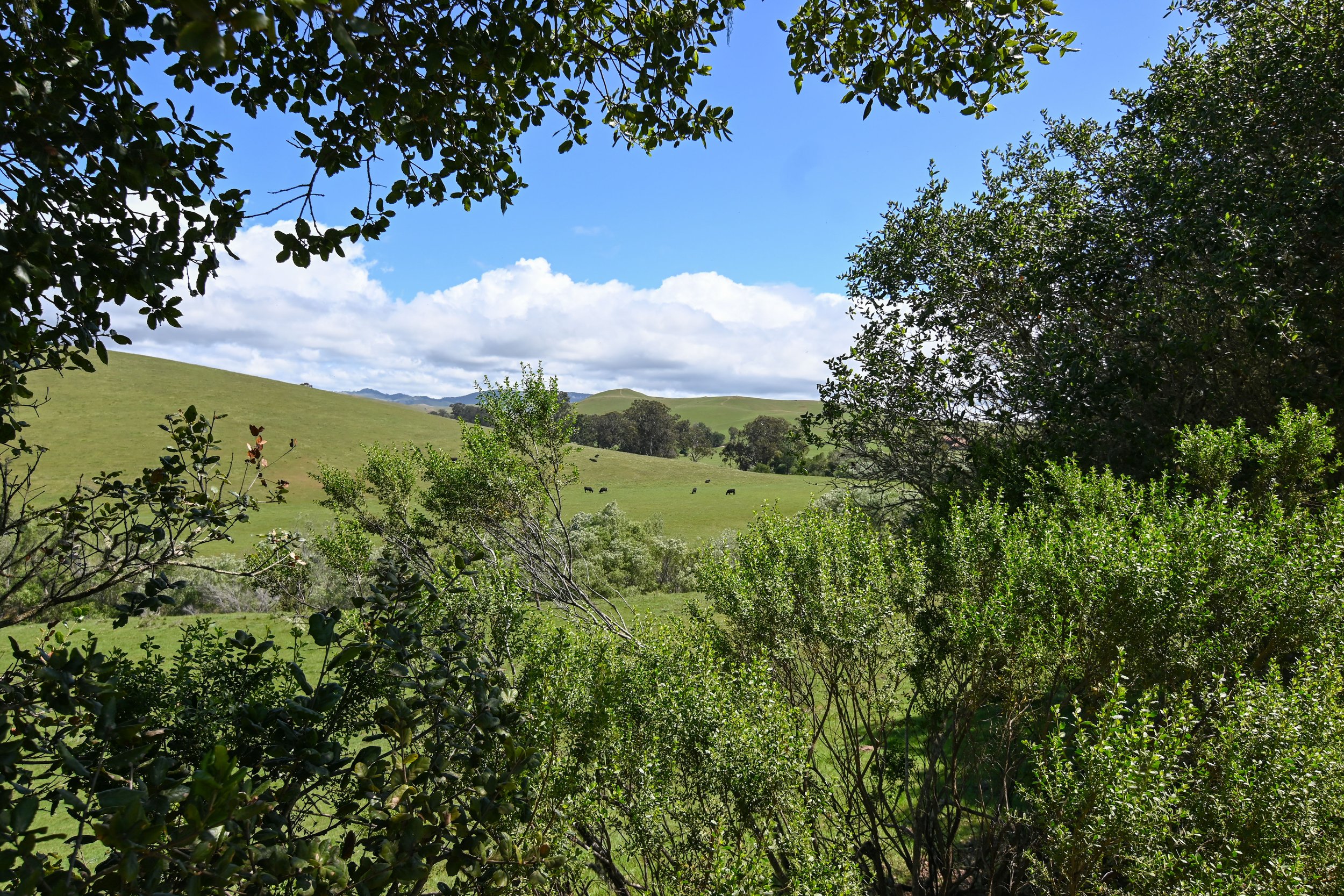 4144 Harmony Valley-36.jpg