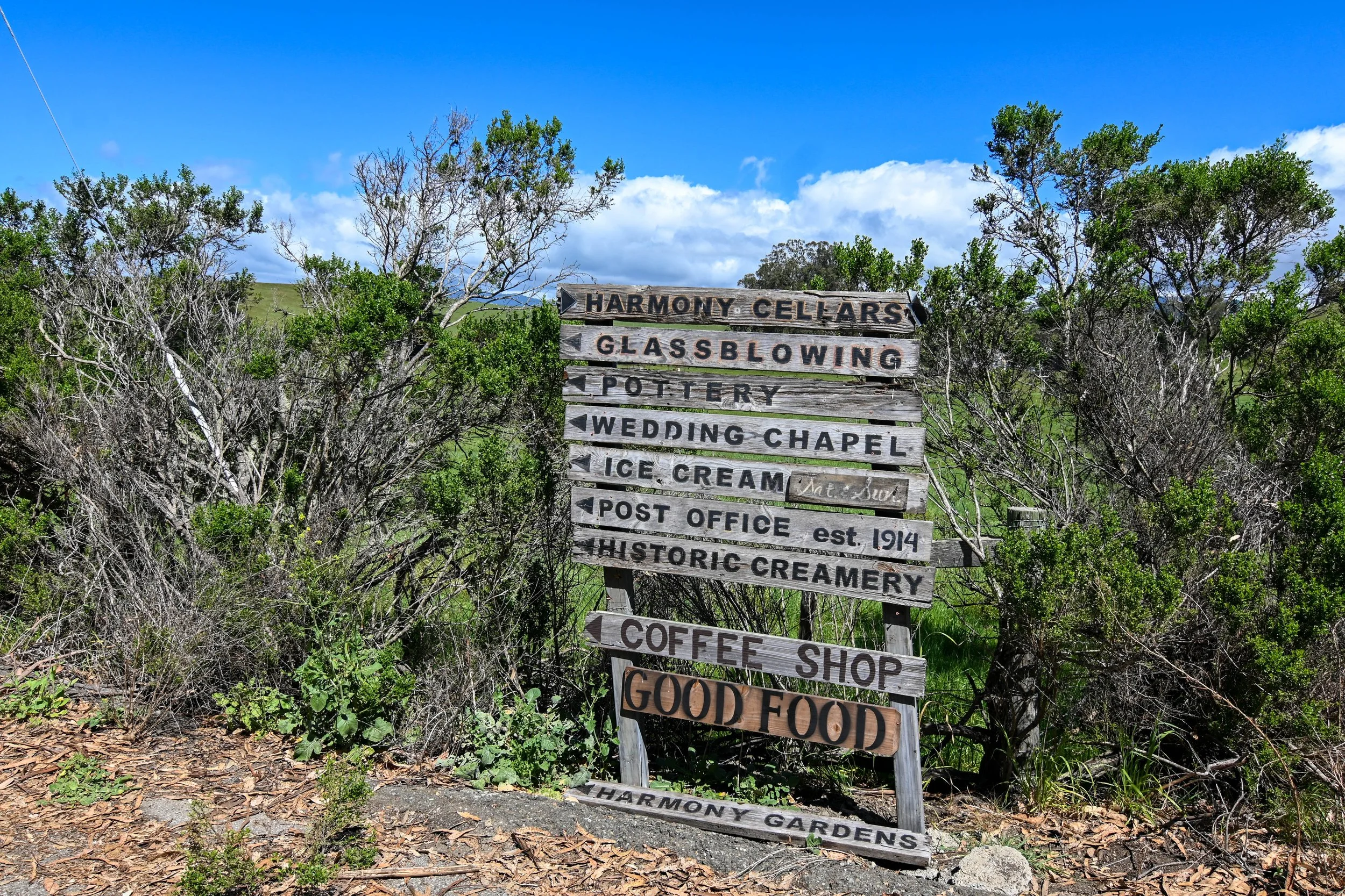 4144 Harmony Valley-39.jpg