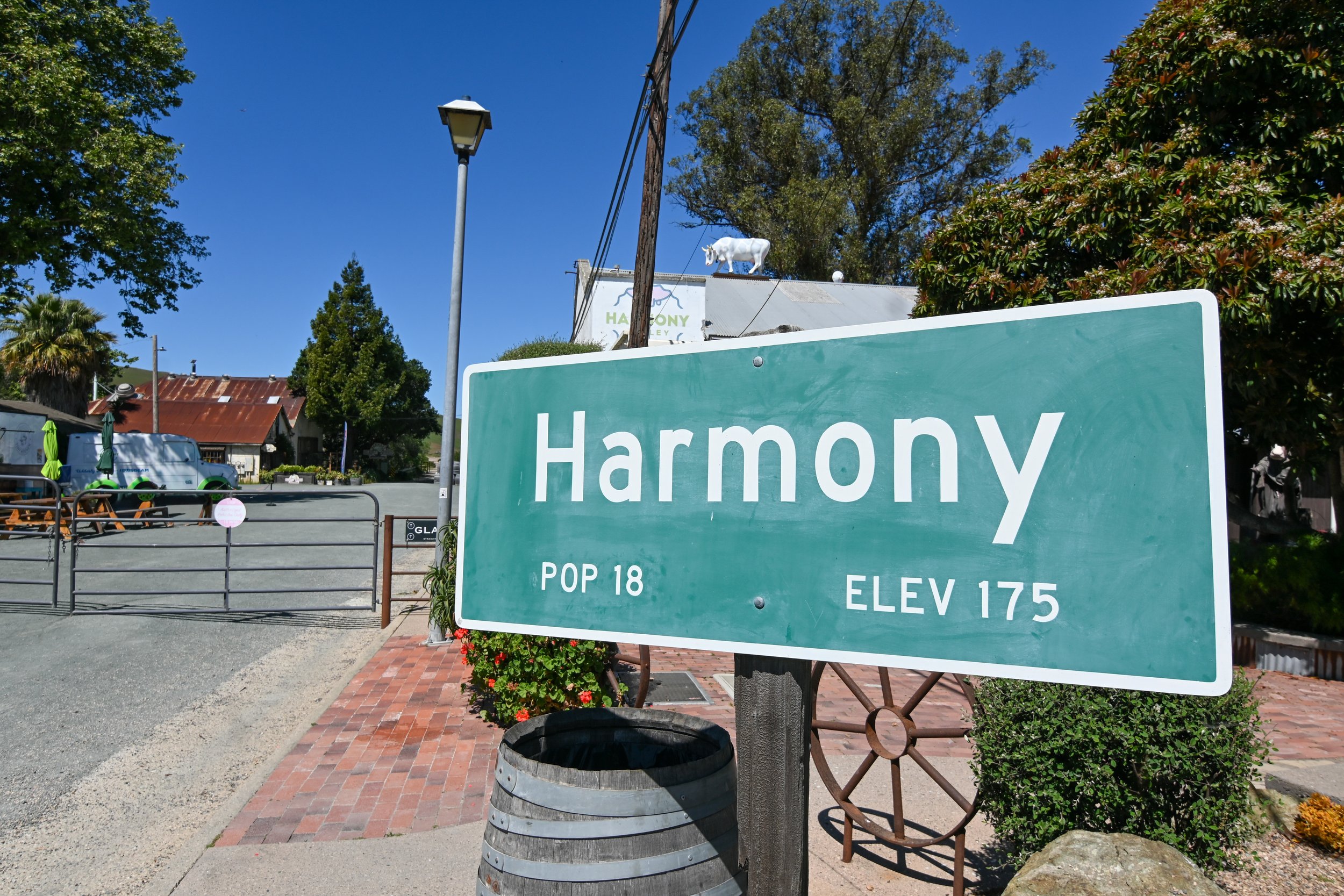 4144 Harmony Valley-40.jpg