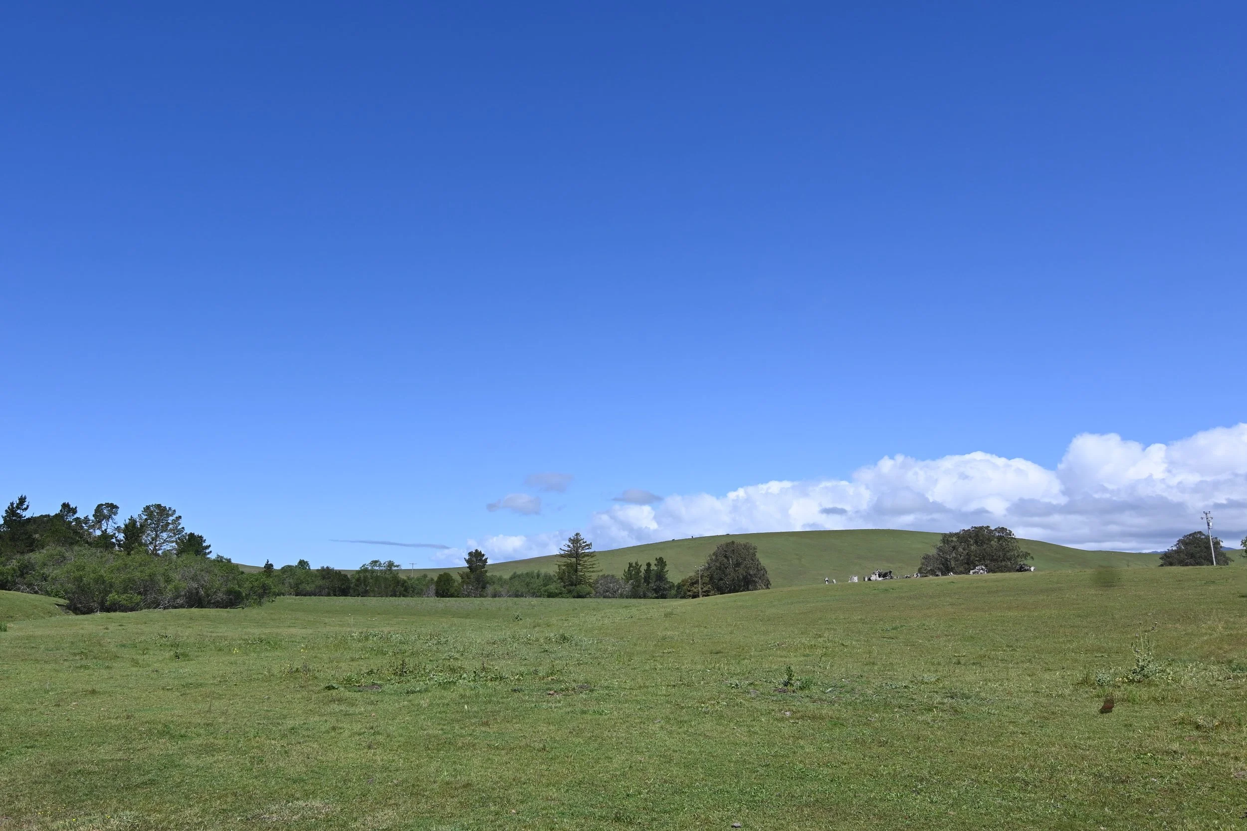 4144 Harmony Valley-12.jpg