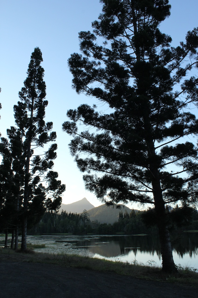 Crams Farm, with Mt Warning