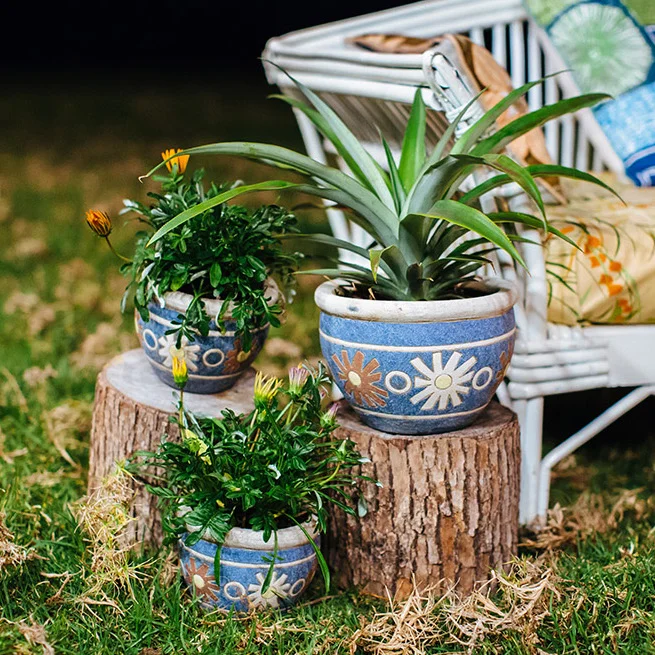 Blue Mexican Planters