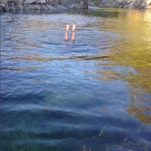 aquariandawn7.jpg
