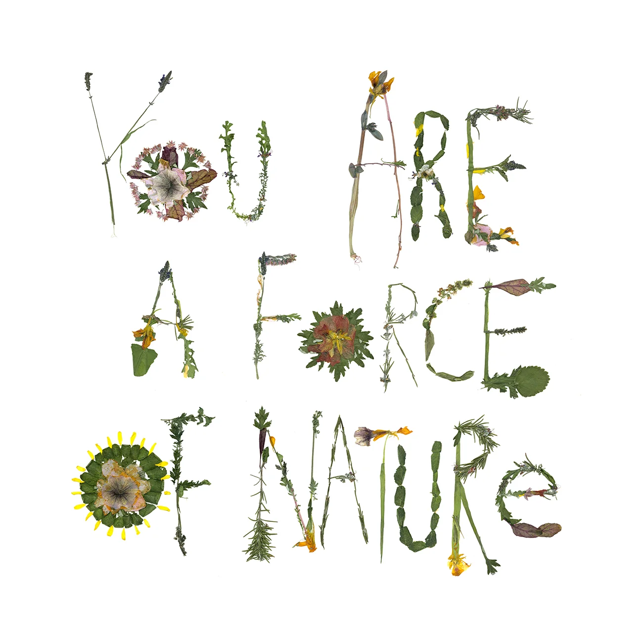 plants_force_of_nature_web.jpg