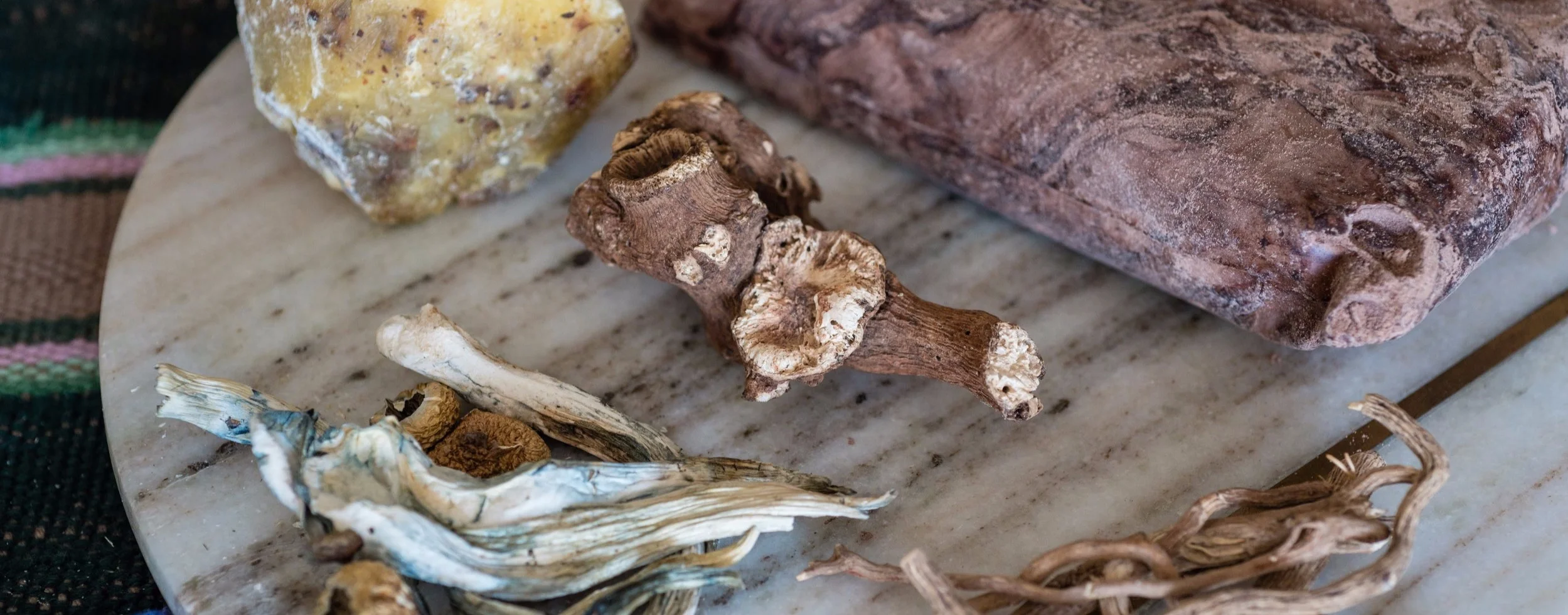 MedicineMushrooms-004.jpg