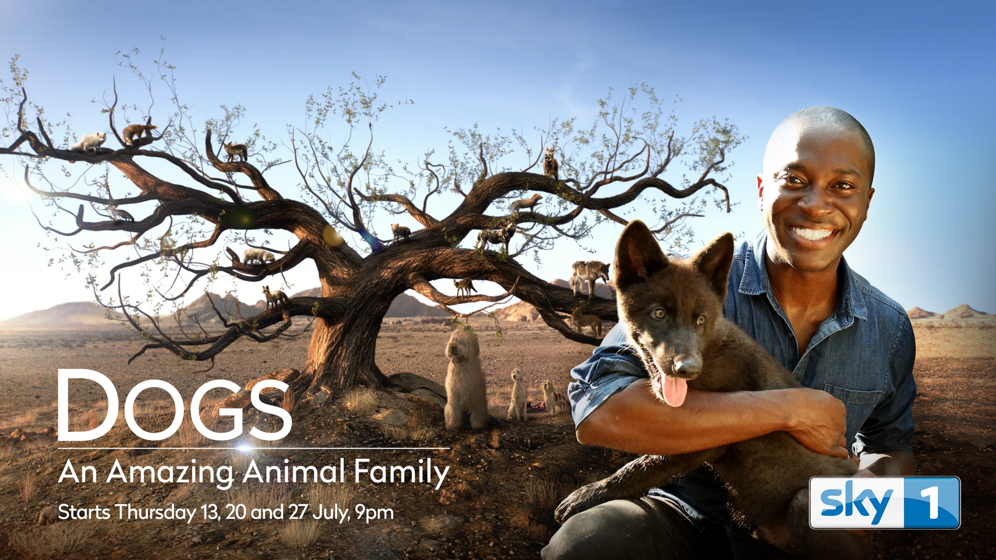 DOGS Title Card.jpg