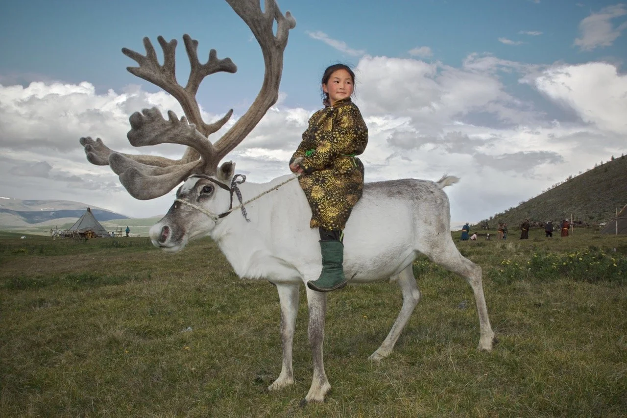 Child in traditional clothing riding a reindeer in a grassy landscape with a tent in the background. Film Mongolia. Filming in Mongolia. Producer in Mongolia. Film Production Service in Mongolia. Fixer Service Mongolia.
