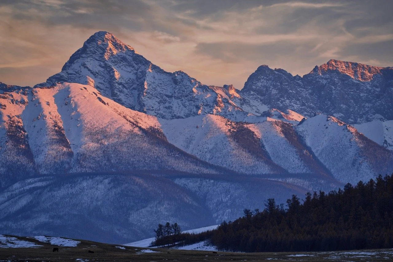 Snow-capped mountain range at sunrise with a forest and open field in the foreground. Film Mongolia. Filming in Mongolia. Producer in Mongolia. Film Production Service in Mongolia. Huvsgul Province, Mongolia.