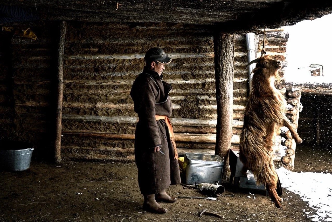 Real Mongol BBQ, Boodog. Film Mongolia. Filming in Mongolia. Producer in Mongolia. Film Production Service in Mongolia. Fixer Service Mongolia.