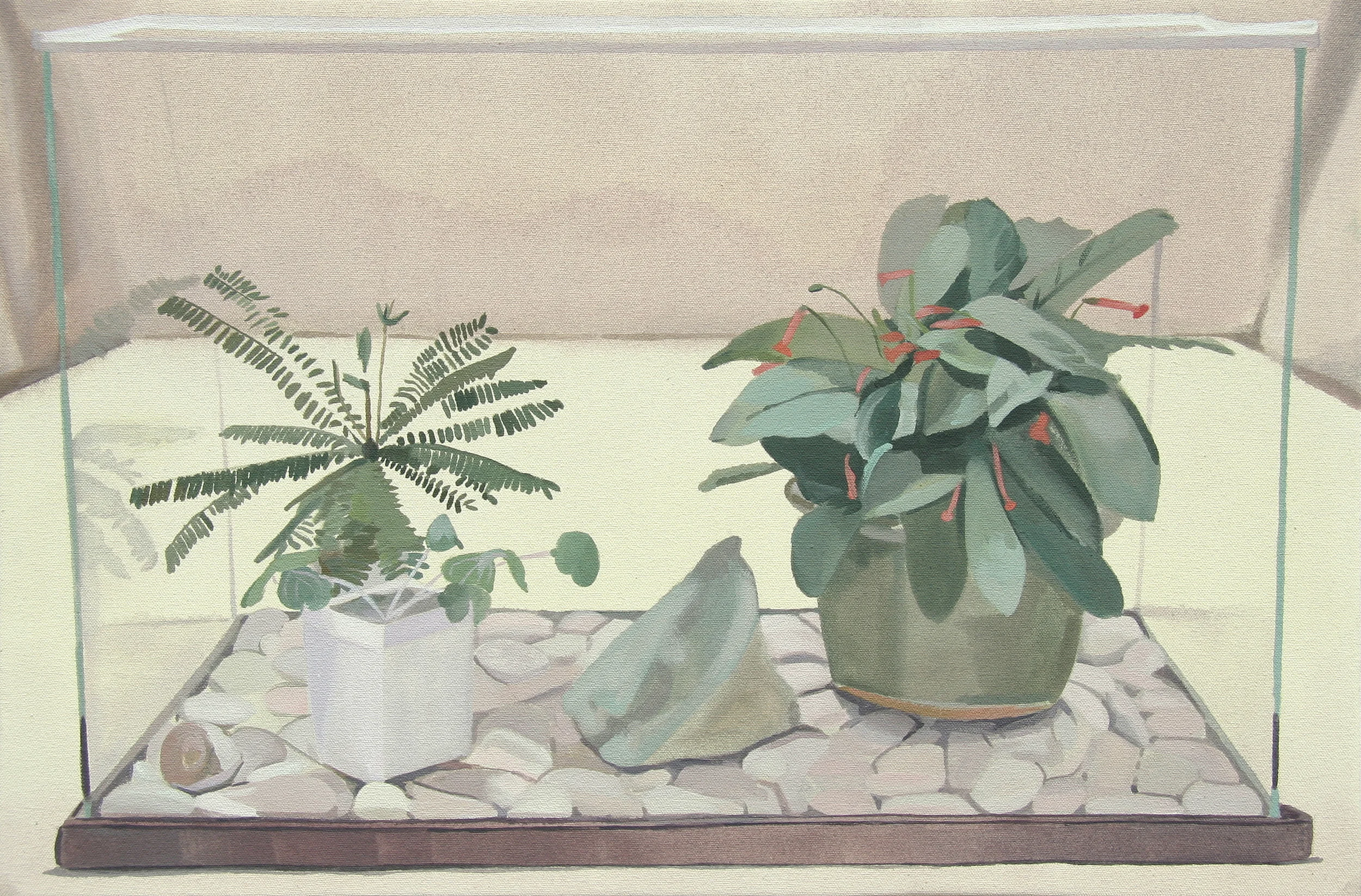  Terrarium without Foundation Soil II, oil on canvas, 16 x 24 inches, 2014 
