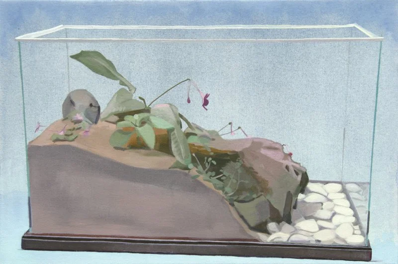  Terrarium with a Head-On Design, oil on canvas, 16 x 24 inches, 2014 