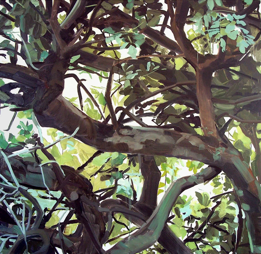 Bough, oil on canvas, 54 x 54 inches, 2009