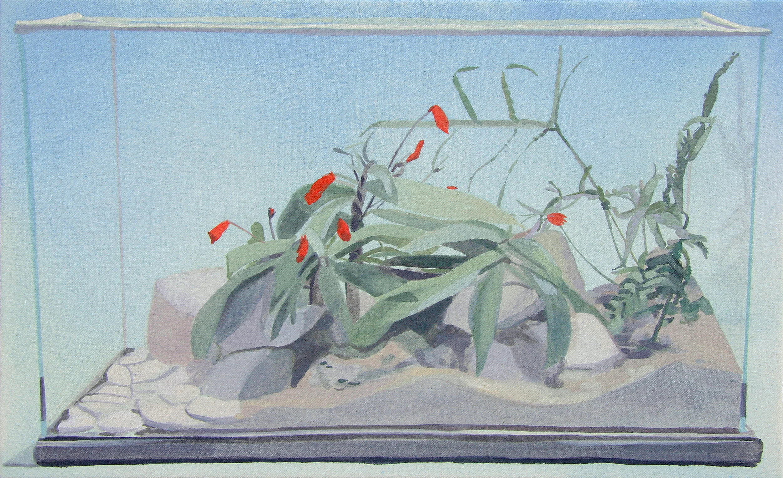  Only a Fern for a Companion, oil on canvas, 13 x 21 inches, 2013 