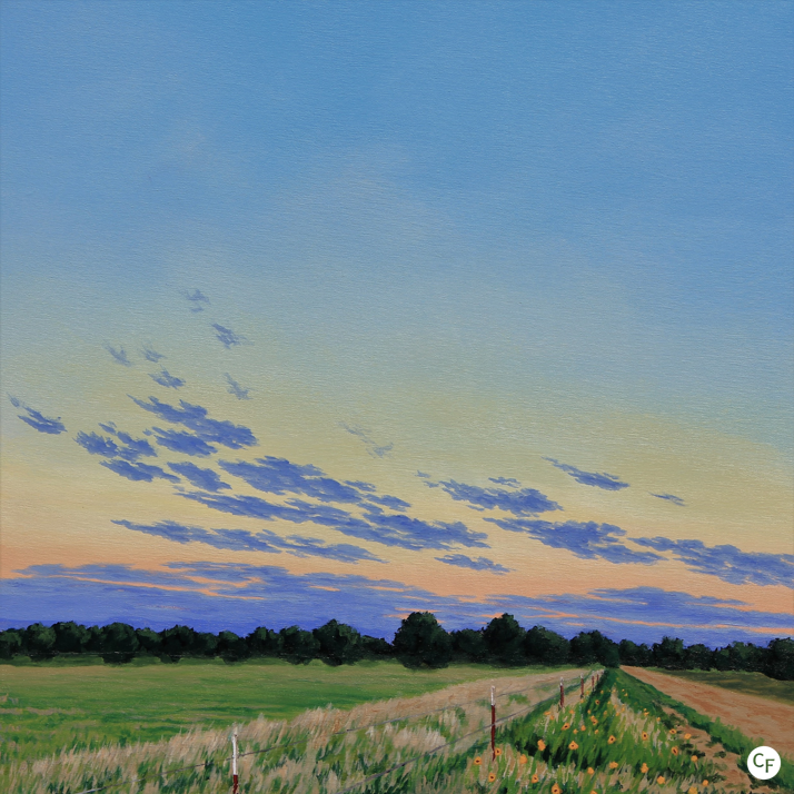 CatherineFreshley_OklahomaJuneEvening.png