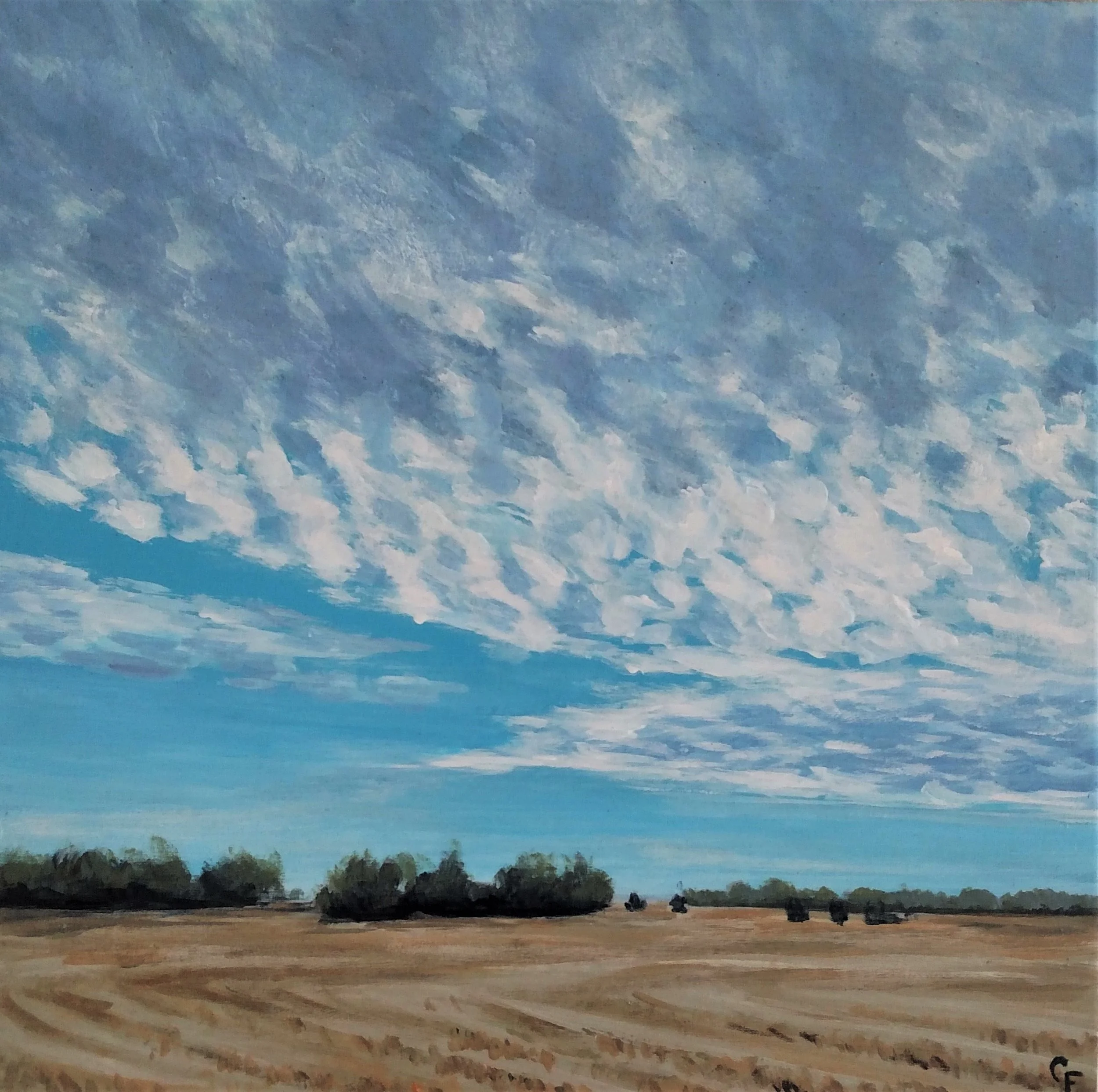 CatherineFreshley_WinteronthePlains.jpg