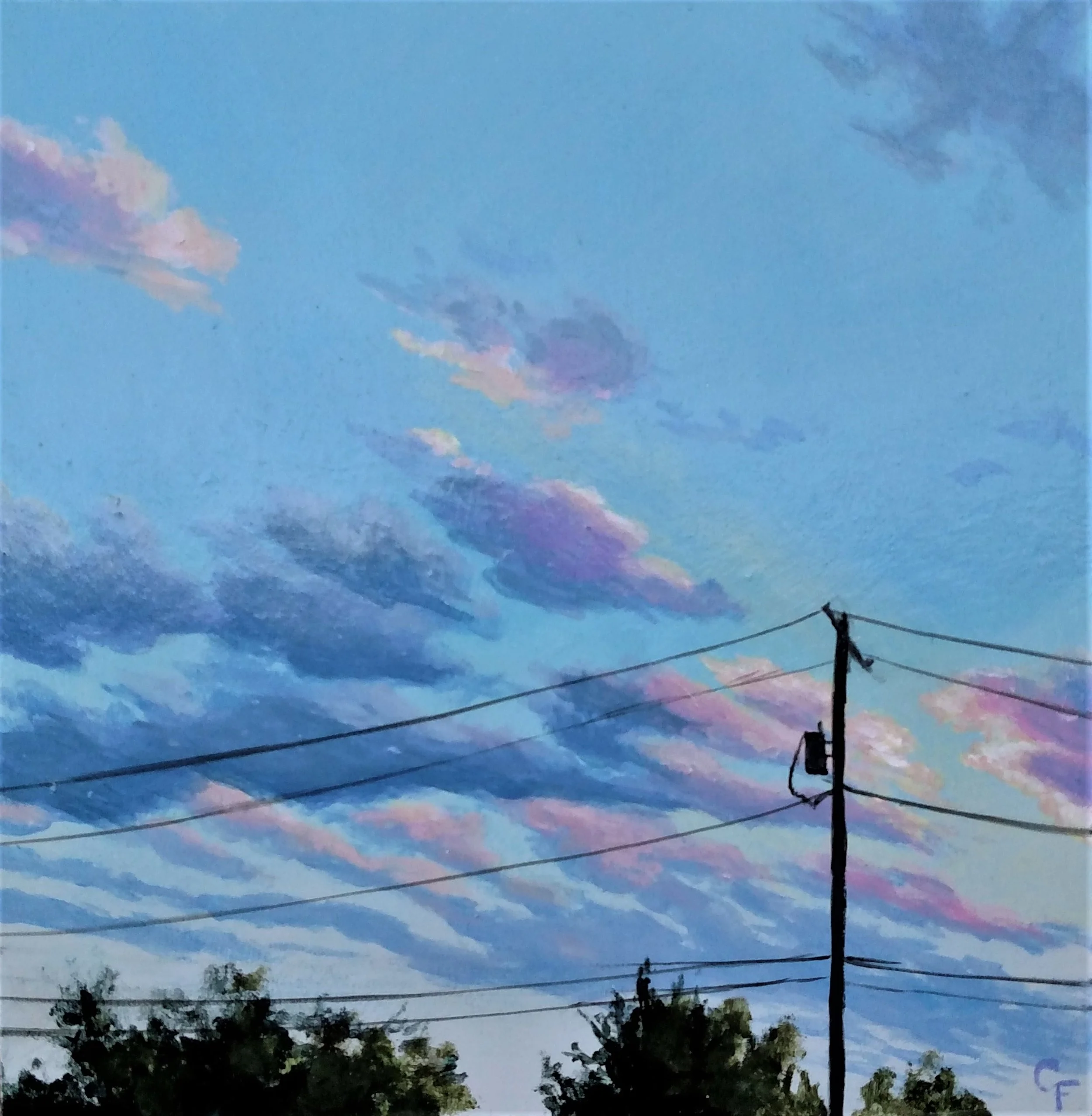 CatherineFreshley_DouglasSunset2.jpg