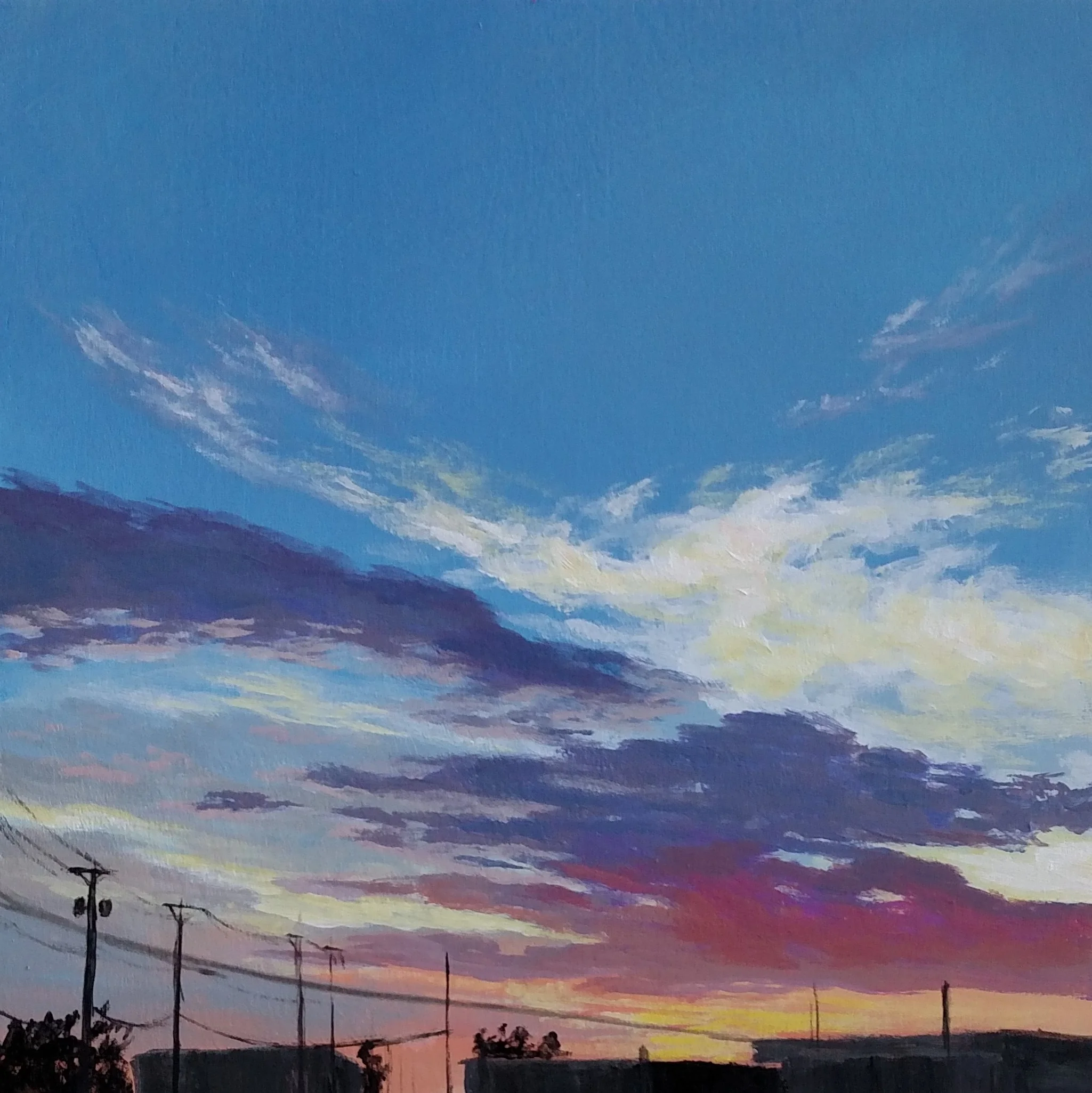 CatherineFreshley_DouglasSunset4.jpg