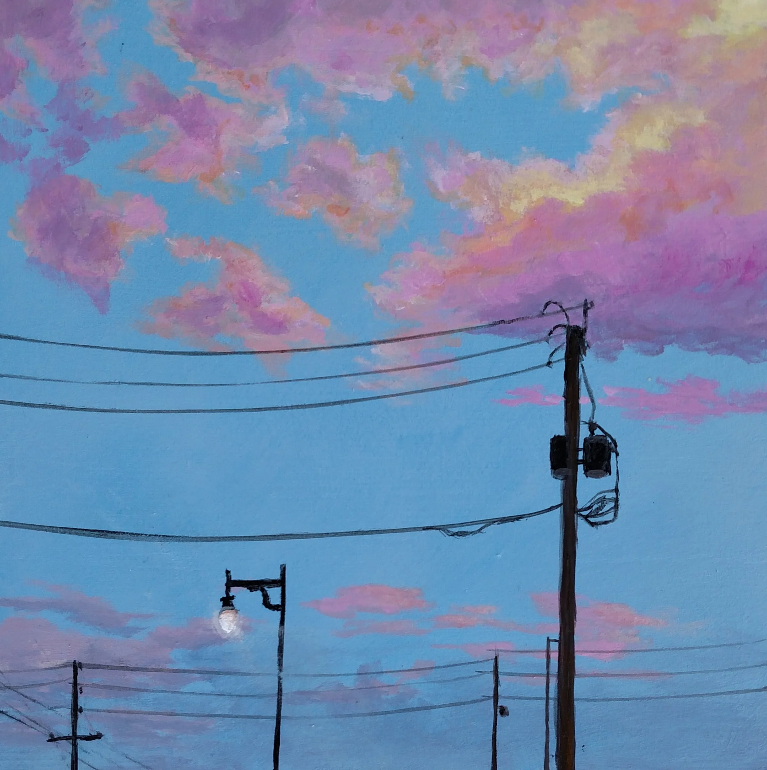 CatherineFreshley_DouglasSunset5.jpg
