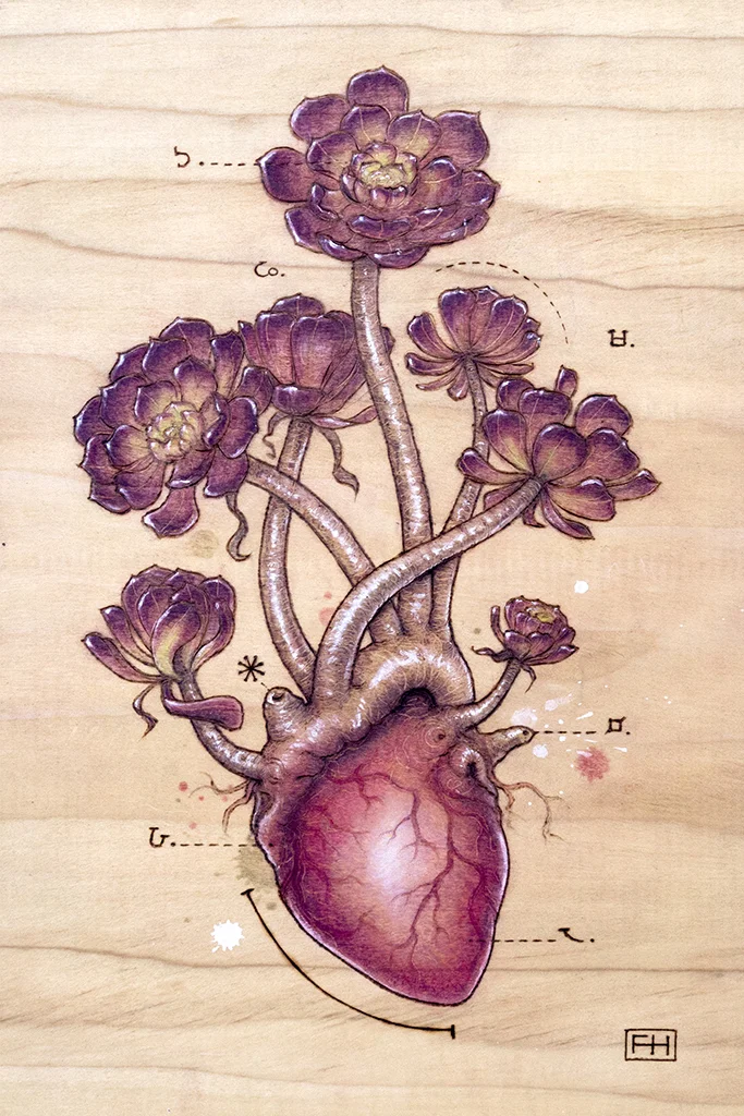 Red Aeonium Heart