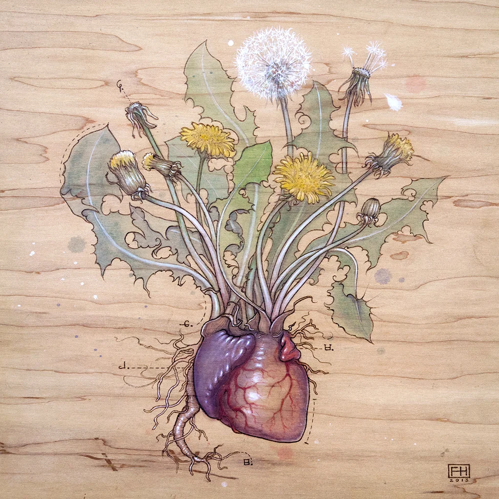 Dandelion Heart