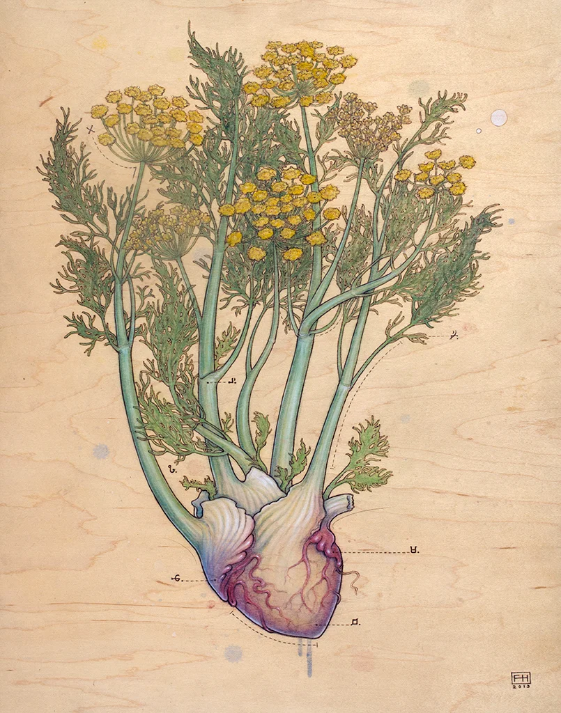Fennel Heart