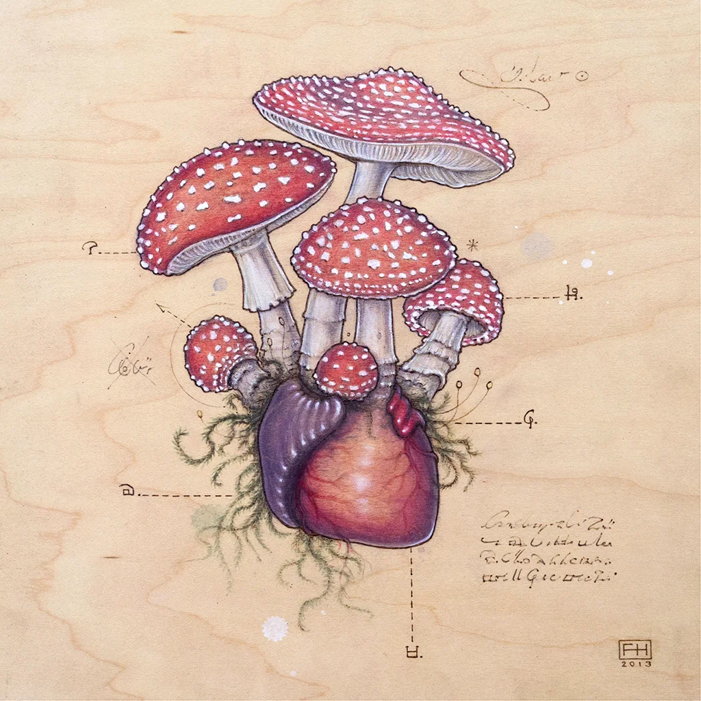 Amanita Muscaria Heart