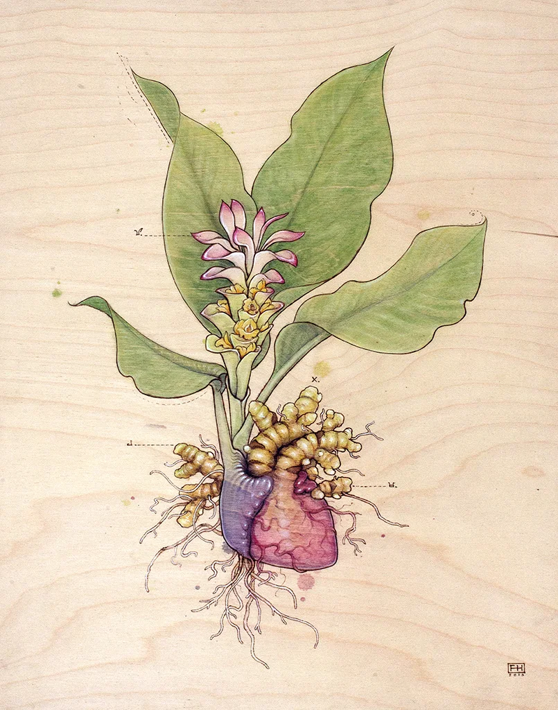Turmeric Heart