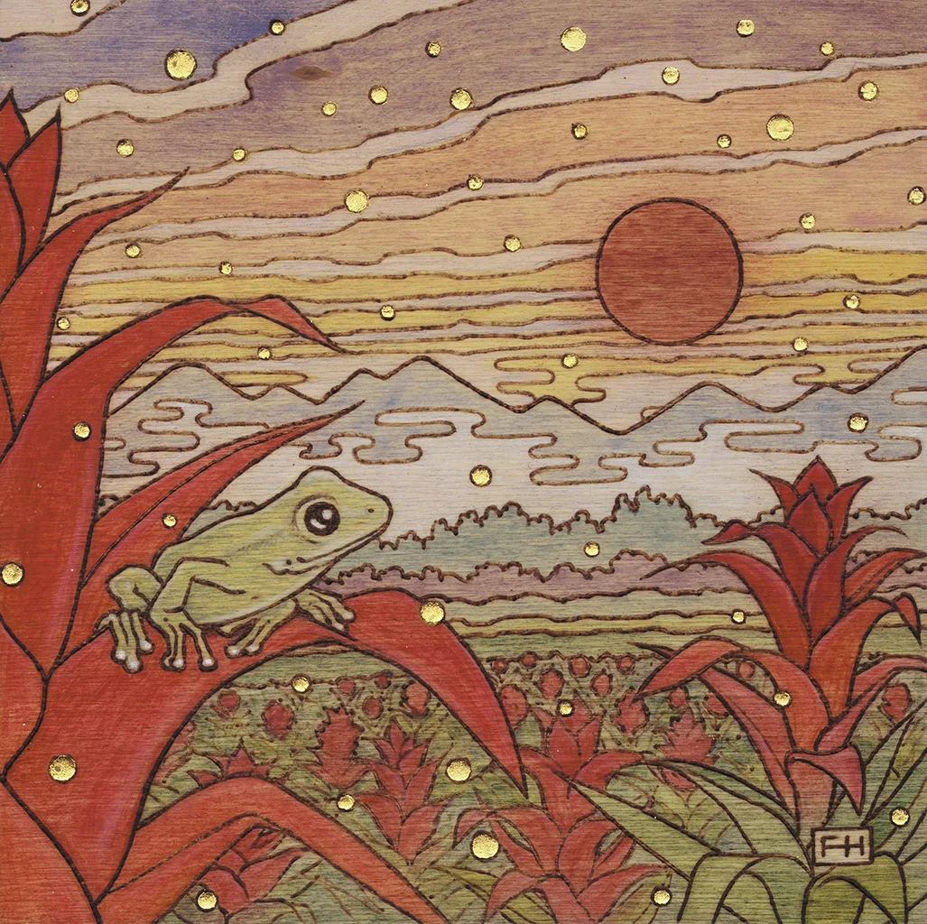 Frog_1024.jpg