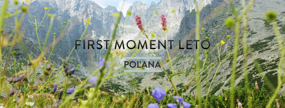 first-moment-leto--polana.jpg