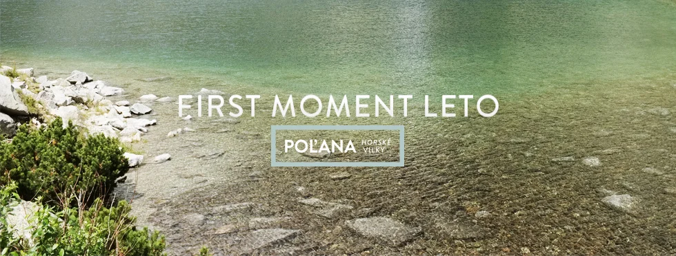 first-moment-leto--vilky.jpg