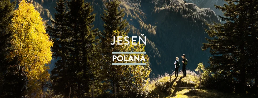 last-minute-leto--polana.jpg
