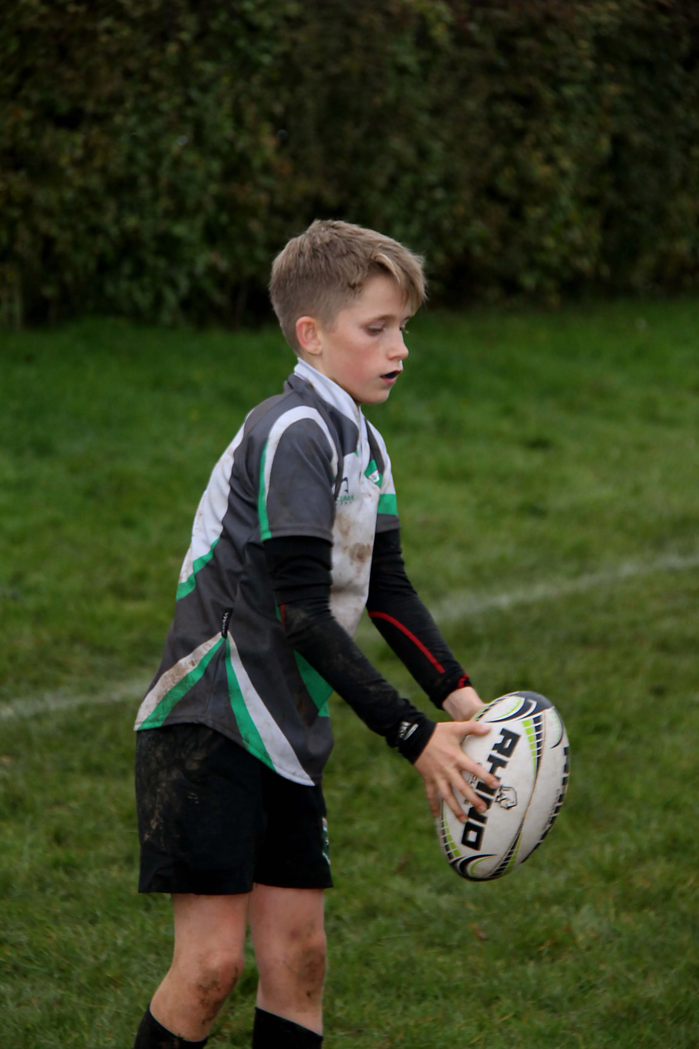 IMG_9333.jpg