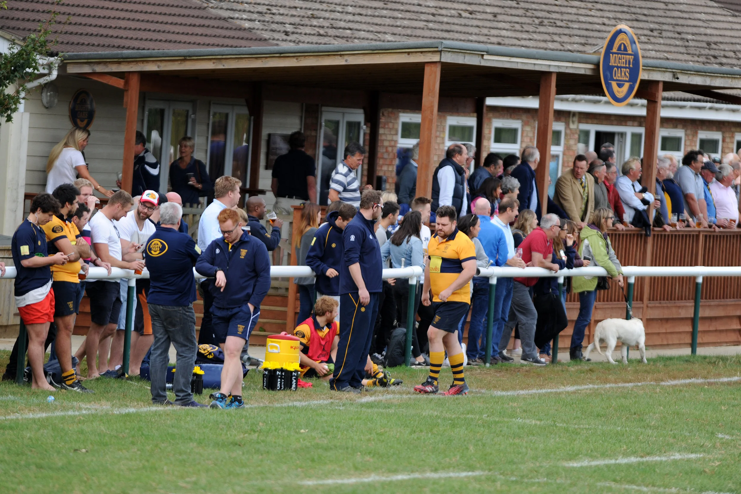 sevenoaks v dover_DP098.JPG