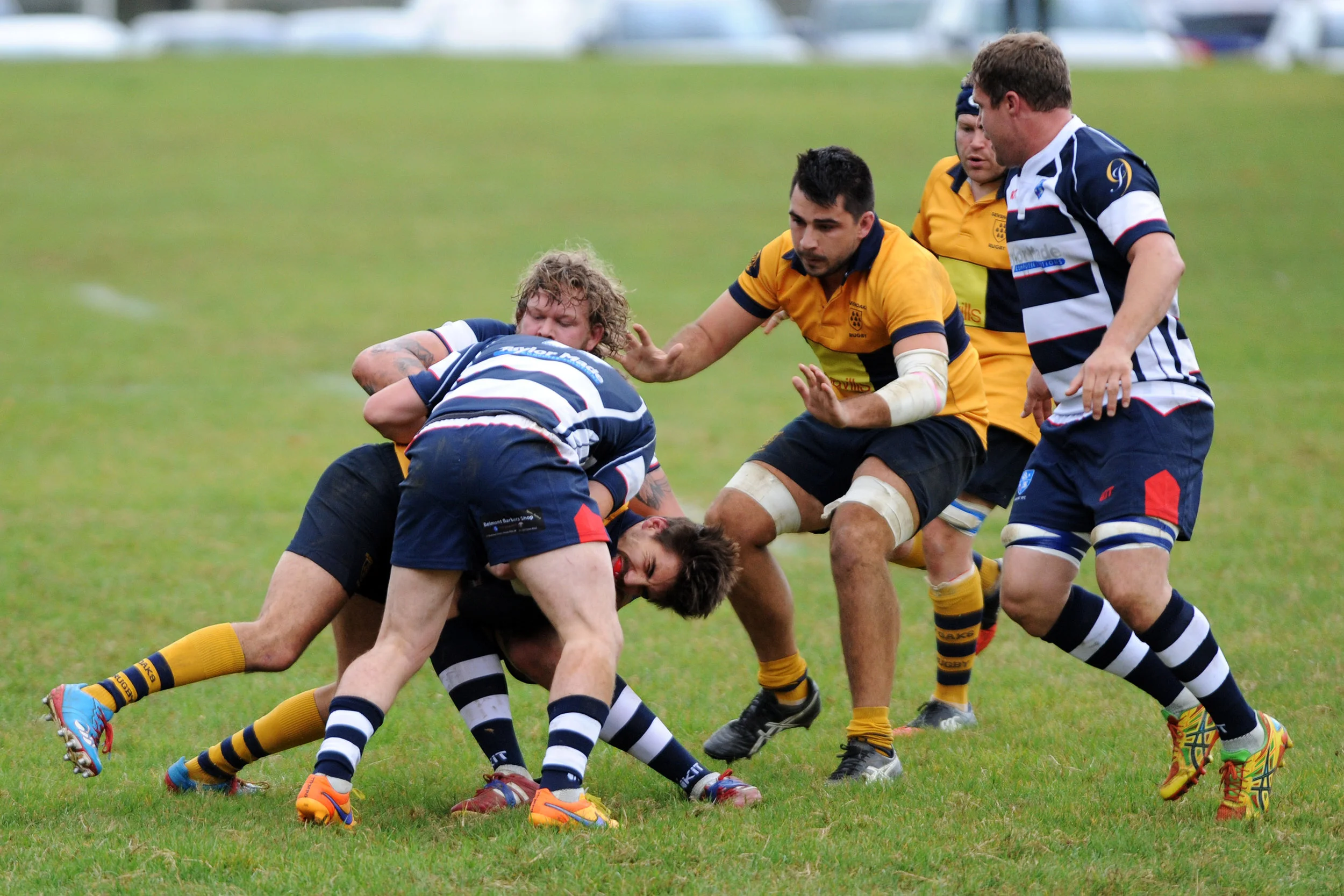 Photos from 1st XV 24-21 win over Havant