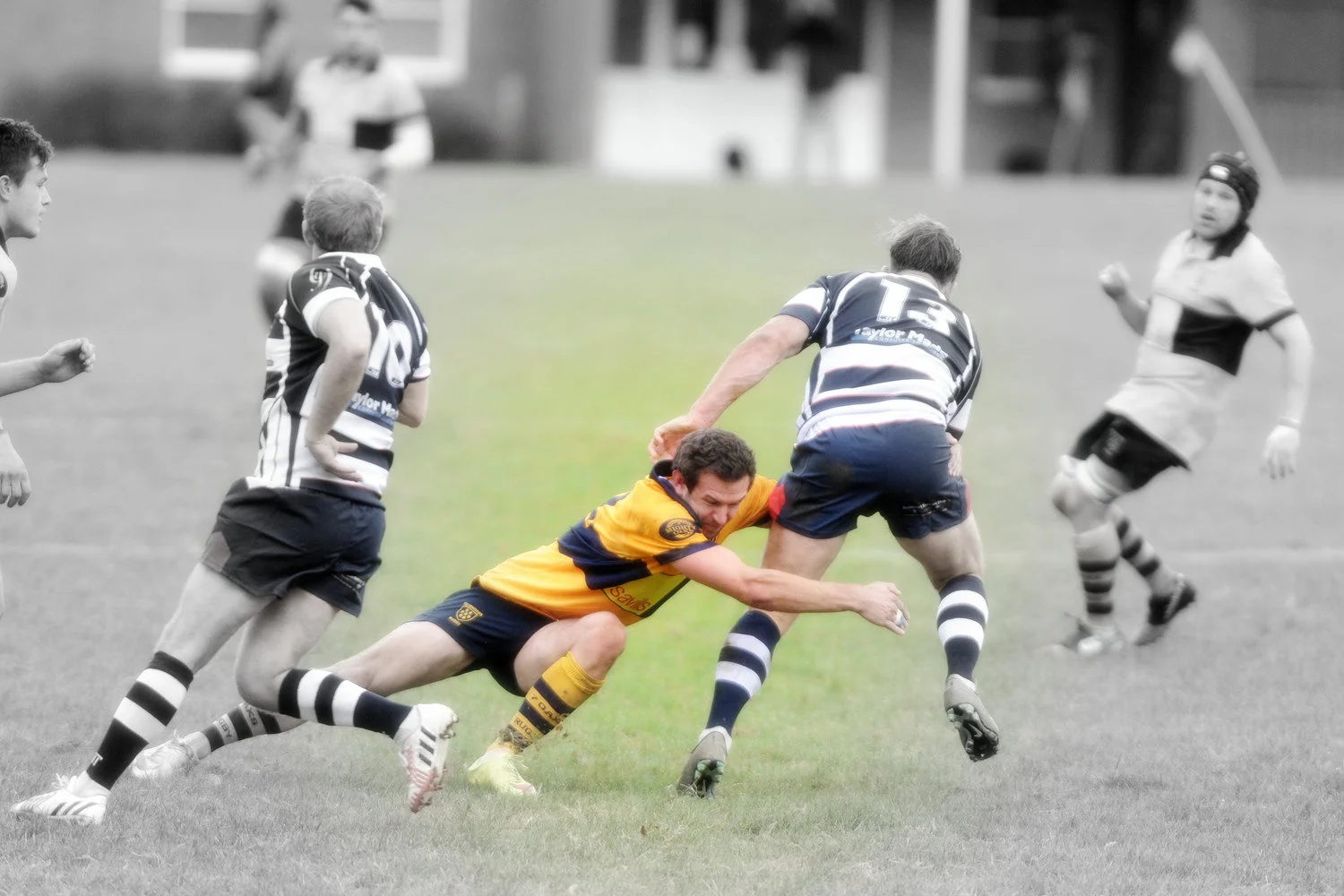 Mighty Oak Tree set for 100th appearance