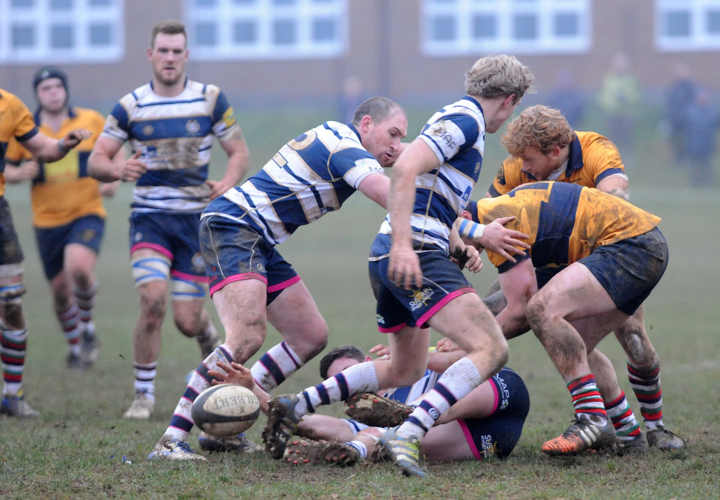 SEVENOAKS_T WELLS_DP_20161217_096.JPG