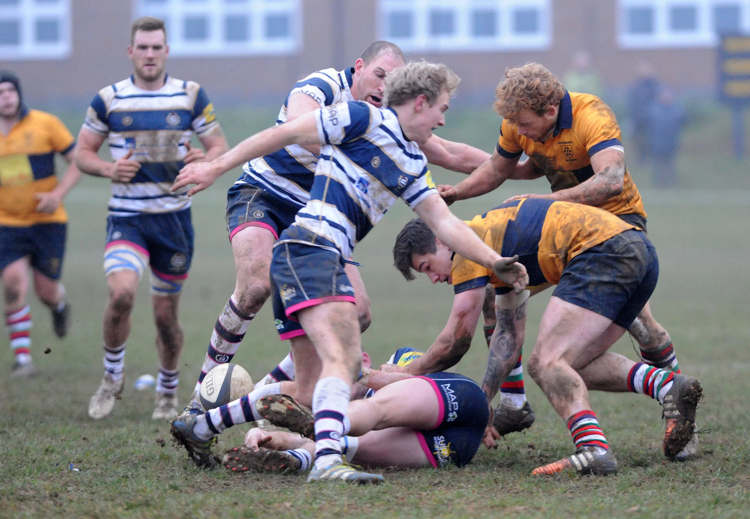 SEVENOAKS_T WELLS_DP_20161217_095.JPG