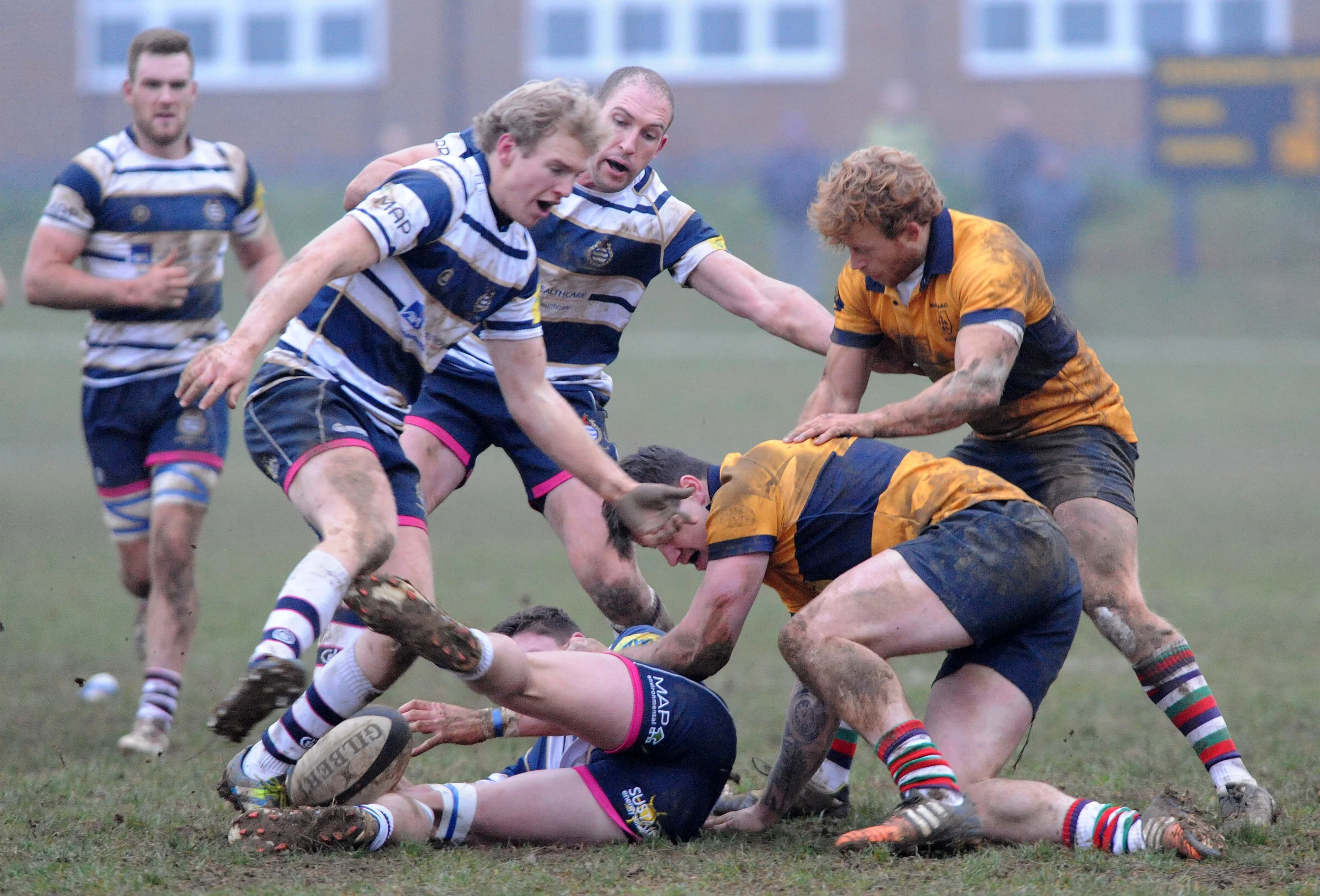 SEVENOAKS_T WELLS_DP_20161217_094.JPG