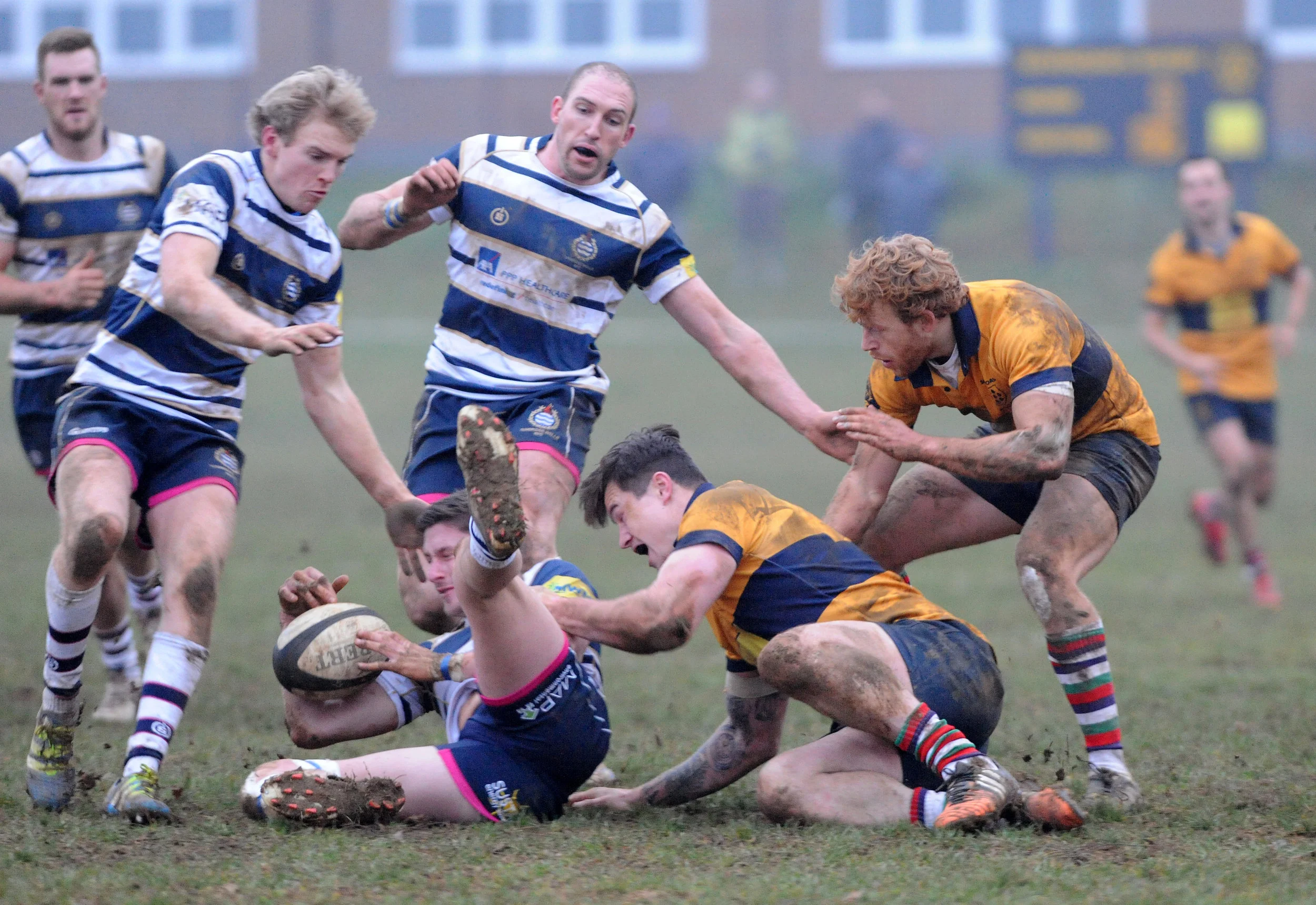 SEVENOAKS_T WELLS_DP_20161217_093.JPG